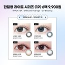 다비치안경송천점 이미지