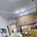 퍼피짱 대도점 이미지