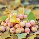 이광호한의원 이미지