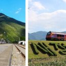 관광열차 이미지