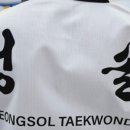 청솔태권도 이미지