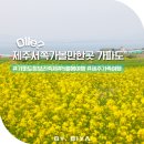 돌하르방 | 제주 서쪽 가볼만한곳 가파도 제주 가족 여행 일정 코스