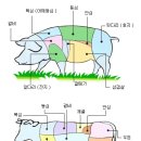 추천맛집 (평택)돼지고기,소고기 부위별 이미지