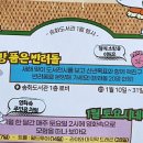 토요 시네마(1월) 이미지