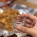 석류애견 이미지