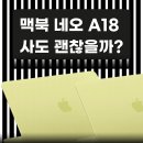 애플인터넷 | 부산 애플스토어 맥북 네오 실사용 후기까지 정리