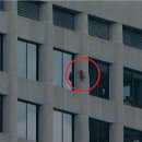 (주) 펫플라자 이미지