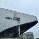 팜울림 | [일산] 아쿠아플라넷 일산 후기｜국내 최초 벌꿀오소리부터 볼거리 총정리