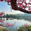 올리브영경산사동점