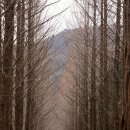 사자산 법흥사 적멸보궁 순례.. 이미지