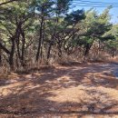 남양2리동편경로당 이미지