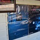 자일낚시터 이미지