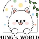 데이멍스 이미지