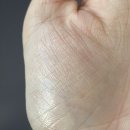 향기 좋은 남자친구 선물 립밤] 오브제 바이 쿤달 플럼핑 립추얼 밤