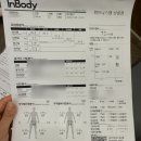 휘트니스엠 | 선릉역 헬스장 추천 해머스트렝스 휘트니스엠 선릉점 PT 후기