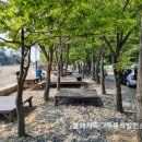 항도야영장 이미지