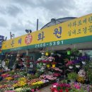 은혜화원 이미지