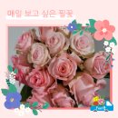 필;꽃