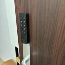 여행 [🇨🇭스위스☝🏻] TGV 바젤역 텍스리펀, Hertz 렌트카, 체르마트 납작복숭아, 고르너 그라트 (마멋궁둥이)