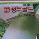 김장무 청두골드 이미지