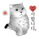 엉클스캣 이미지