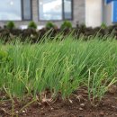 서귀포환승정류장 이미지