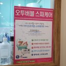 욜로오개 이미지