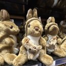 세븐일레븐인천서운산단점 | 호주 시드니 여행 후기 6일차 | 4박6일 패키지 | 시드니 공항 면세점 | 아시아나항공 OZ602 | 호주...