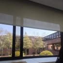 유성대중사우나 | 삼성화재 유성캠퍼스 구석구석 둘러보기 솔직후기 대전 삼성 연수원 내부시설 대전여행 온천수