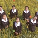 가시나