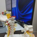 서울척척의원 이미지