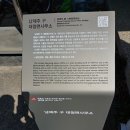 남제주 구 대정면사무소 | 남제주 구 대정면사무소 (南濟州 舊 大靜面事務所) - 국가등록문화재 제157호 (2020.03.16.)