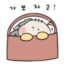 라이티티아 - 서귀포시 | 라이티티아