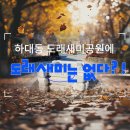 도래새미공원 이미지