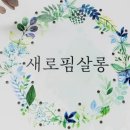 새로핌살롱