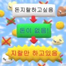 [결혼] ‘빈티지 감성’ 비포커스 아이폰스냅 계약 후기