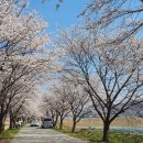 성대2리 이미지