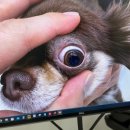 다랑동물병원 이미지