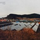 호두태양광발전소 이미지