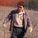 은행농장(염소) 이미지