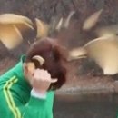 러버블데이 네이버블로그