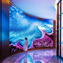 두바이룸 이미지