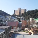 안창마을 Daum카페