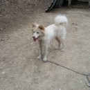 최병태농장 이미지