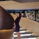 박효주 카카오 검색결과