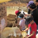 김영종농장 이미지