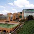 분당-385 이미지