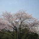 H7109 Daum카페