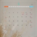 헤어살롱1021 이미지