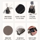 에이원오토 | 리안 플릭 내돈내산 절충형유모차 장단점 한달 사용 후기